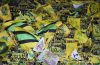 FC Nantes : Waldemar Kita va perdre beaucoup, beaucoup d’argent…